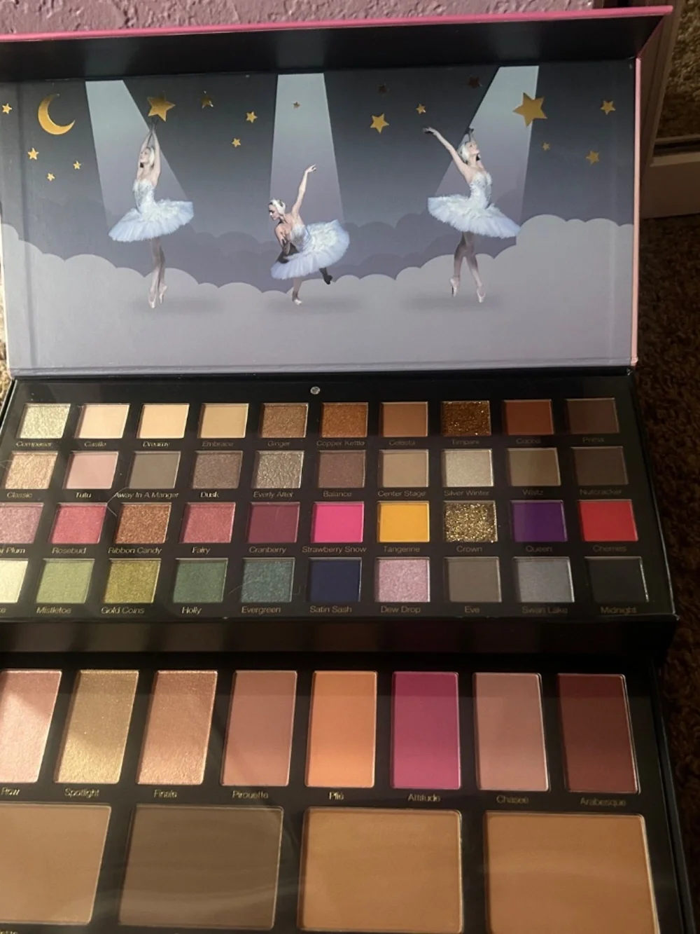 Scott Barnes Swan Lake makeup palette